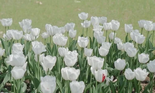 Abby_Taylorr Public Pic 2