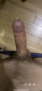 chinese18cmdajj Public Bilde 3