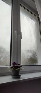 Public od FREYA_-  7 snímek