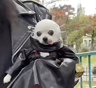 ✨🤍 de Danisaenz__  6 photos