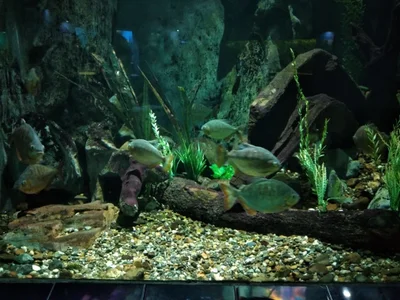 Zdjęcia LinzyBaner Taken with the cell phone:  6