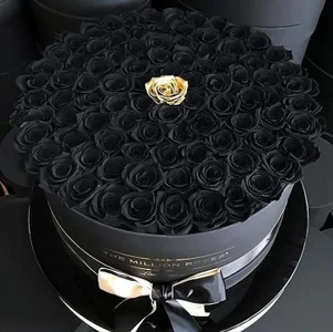 Public od 9inchesHire  6 snímek