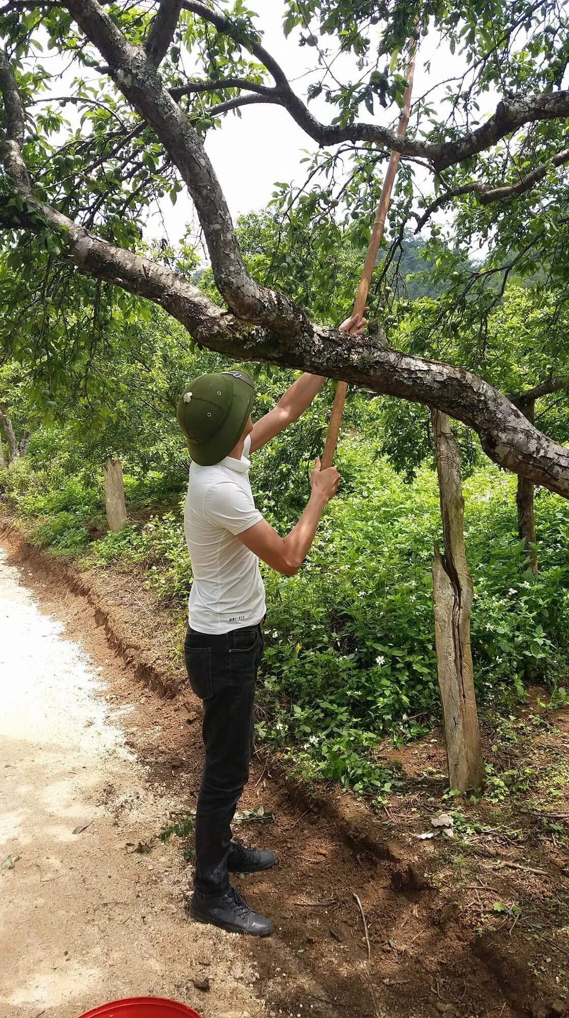 cumcum16cm Poză populară 640