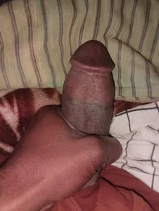 Bengali_BULL1: Public ( 6 фото)