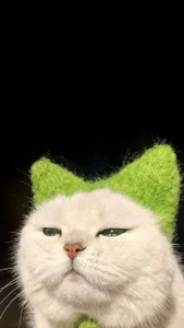 MaryMurray see you tomorrow☀️ Immagine 