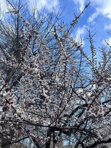 EvaThopson Spring Pic