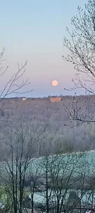 schmidtler35 Public Pic 5