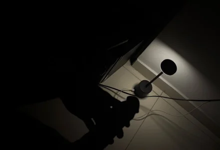 Disfruten de stivenblossom  Imagens