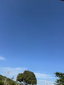 AnushaKumari Public Pic 5