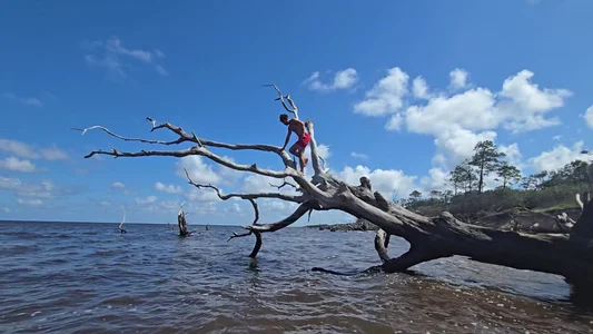 sinful_silvio Public صورة واحدة|sinful_silvio Public صورتان|sinful_silvio Public  2 صور|sinful_silvio Public  2 صورة