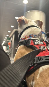 moon_lilith Public Foto 8