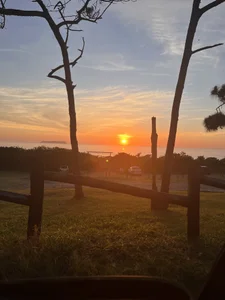 Oi de DieMitransarinos  6 Imagens