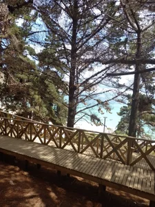 rodovlaz Public صورة واحدة|rodovlaz Public صورتان|rodovlaz Public  3 صور|rodovlaz Public  3 صورة