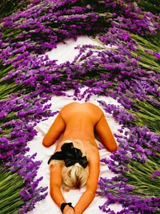 Ladytramp Mix it up Pic 2