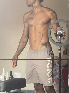 Liv de Borba10  5 Imagens