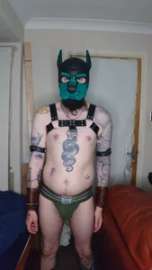 Castbotter1995 a puppy hood Kuva 5