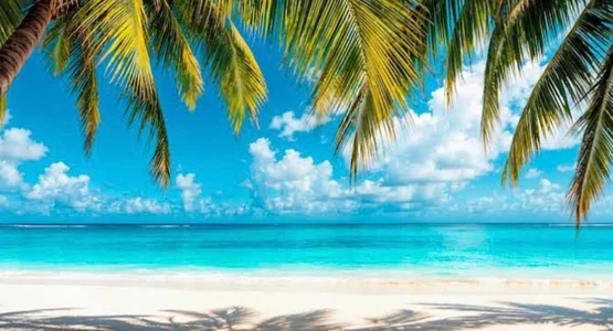 Hobbies de lisa_g07  4 Imagens