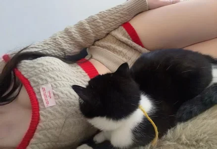 okyssa Public รูป  3