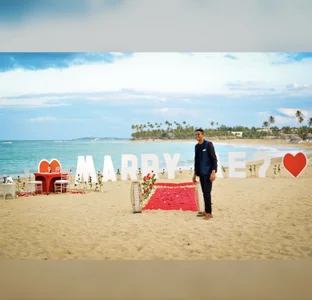 BullBreeder: Public ( 5 фото)