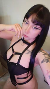 KomiCatt Public Pic 3