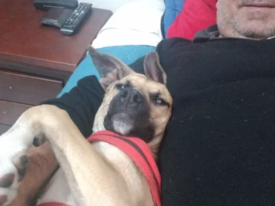 ferdinad20 A loyal love 사진 3