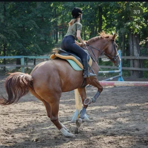 Ride on the horse de AnabelHun  5 Imagens