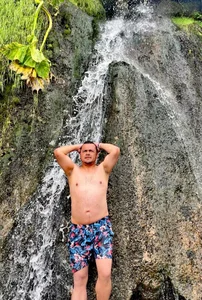 OsoBearColombia Public Foto