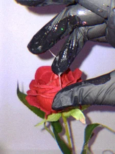 soni_ponwoo ⭐ Foto