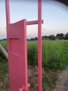 Ryo-jコスモス🌸Flower图片