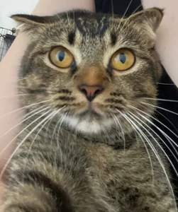 Chloe_embe Meo Meo Pic