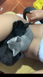 Samantha_Martiness Public Pic 2