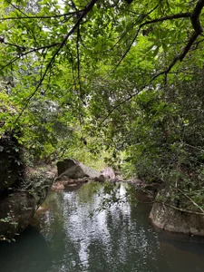 MistyBarnesChina nature Bild 2