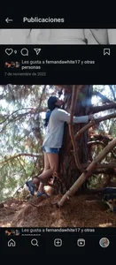 And if the sun shines because it's old. de VelvetKiM_91  3 Imagens