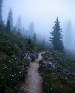 Persia_09 Ireland✨ Immagine 