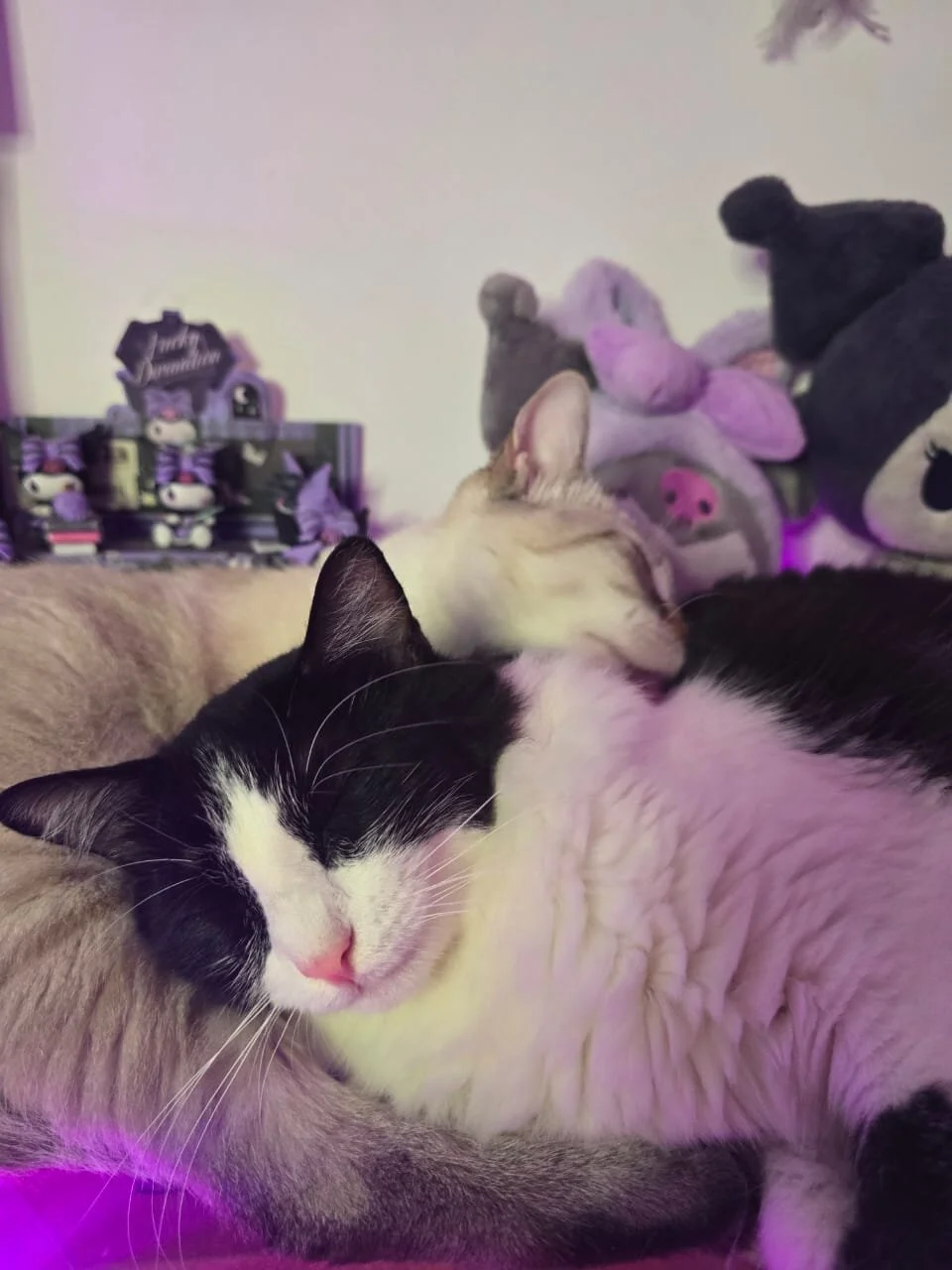 Keita_Moon Foto en Tendencia 5705