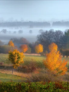 riri_nyaonのPublicの 4枚の写真