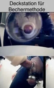 Inseminator69 inseminator Samenproduktion Bilde 3