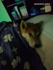 chuck00095 Public Foto 3