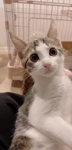 haruka_oo Public 圖片 2