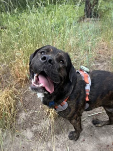 kelsred12 Public Pic 6