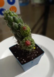 ferdinad20 Smile!!! 사진 5