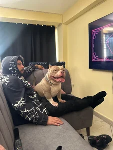 Public de master_wester Foto 5