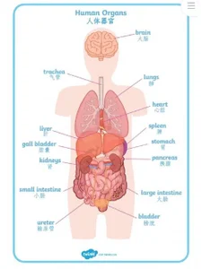 Lisa-3333 Public টি ছবি