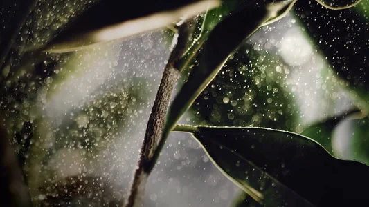 Belover_nana Public Kuva