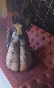 BrendaSex_Hot 😍 Start at the bottom… end up obsessed 🔥 Pic 2