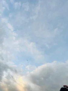 Aaron_ForddCome and enjoy nature with me 🌿图片