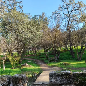 VallerieJones Greece, Athens vacayyy Immagine  9