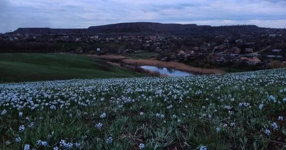 Abby_Taylorr Public Pic