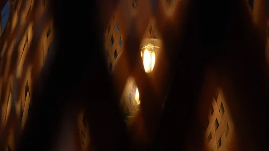 Kore_Persephone 📸📽 Billede 3