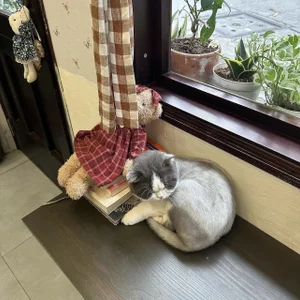 ---MIA---: Public ( 3 фото)